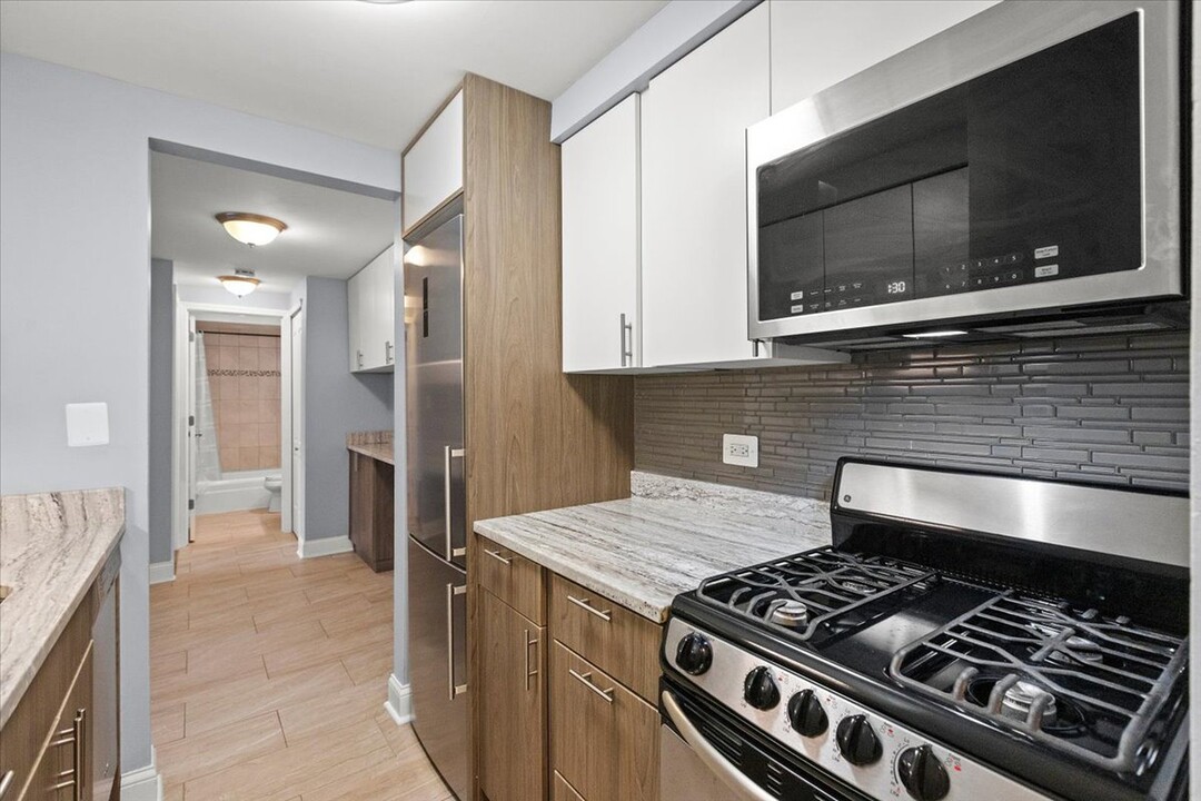 544 W Oakdale Ave in Chicago, IL - Building Photo