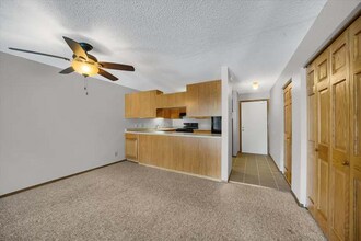 925 30th Ave S in Minneapolis, MN - Building Photo - Building Photo