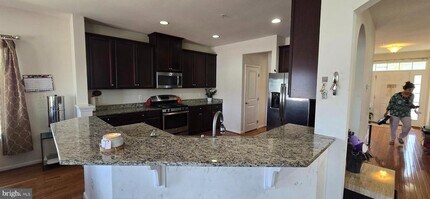 22650 Shining Harness St in Clarksburg, MD - Building Photo - Building Photo