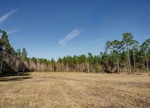 321 Mae Ln in Baxley, GA - Building Photo - Building Photo