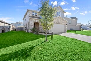 11606 Gray Alder Dr in Houston, TX - Building Photo