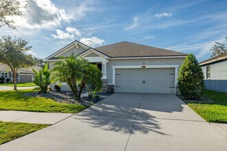 13519 Texas Sage Pl in Riverview, FL - Building Photo - Building Photo