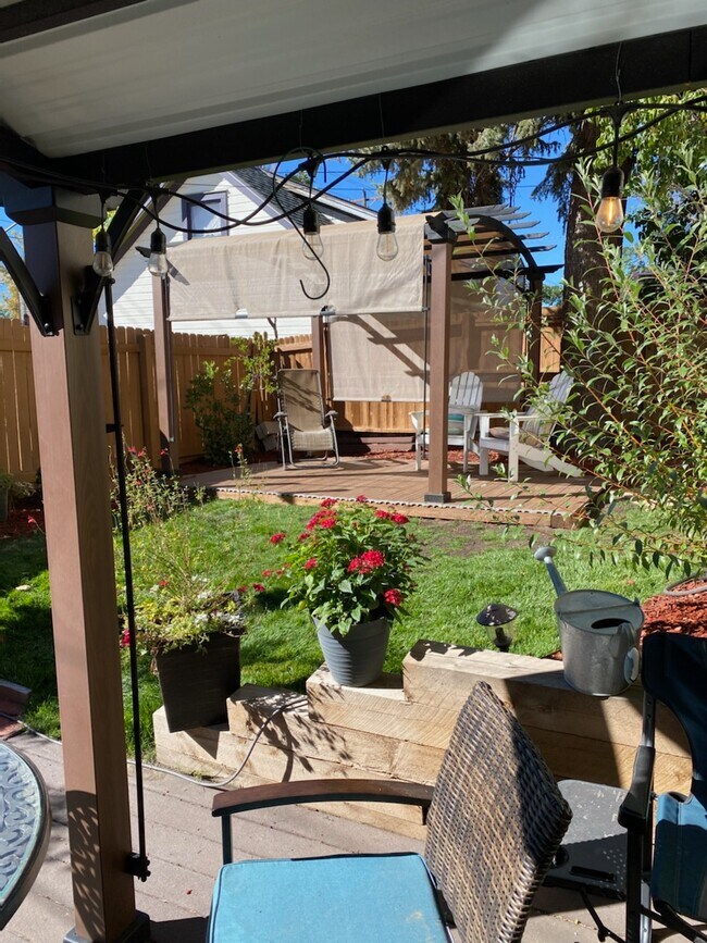 309 Cantril St in Castle Rock, CO - Building Photo - Building Photo