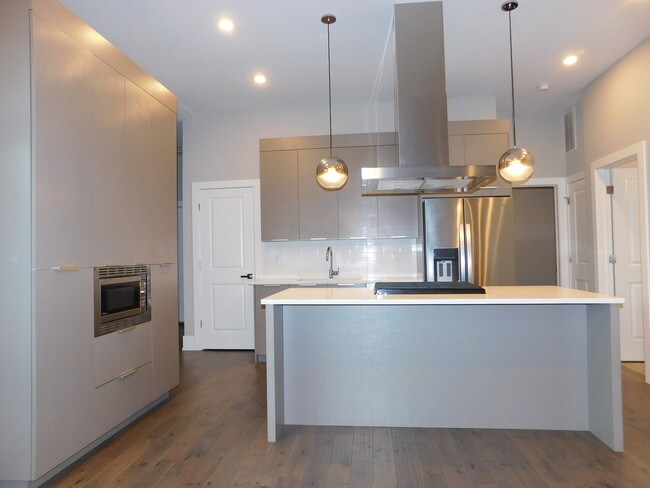 1752 W 18th Pl in Chicago, IL - Building Photo - Building Photo