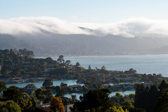 Marin Rental Properties in Tiburon, CA - Building Photo - Building Photo