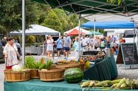 Apartments in Bluffton, SC