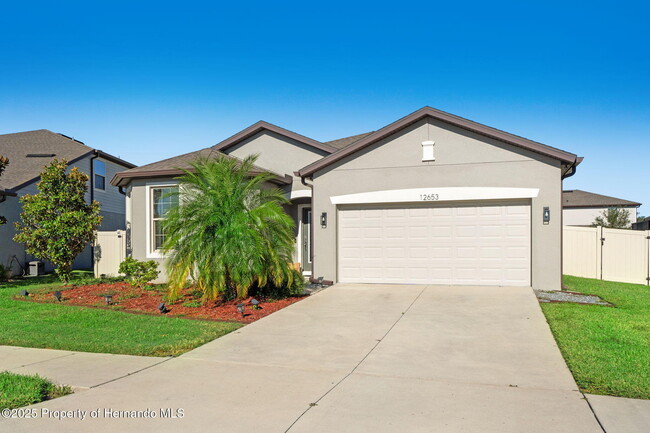 12653 Palapa Loop in Spring Hill, FL - Foto de edificio - Building Photo