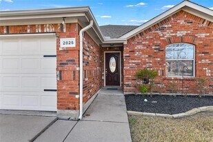 2825 Dawn Spring Dr in Little Elm, TX - Building Photo