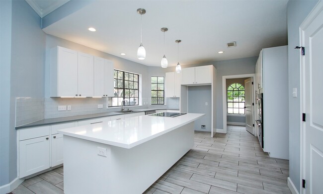 16119 Cochet Spring Dr