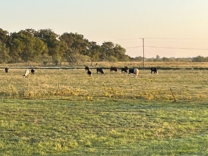 property at 5264 SW County Rd