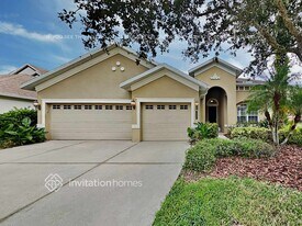 20401 Walnut Grove Ln in Tampa, FL - Building Photo