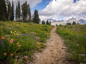 739 Stone Peak Loop in Driggs, ID - Building Photo - Building Photo