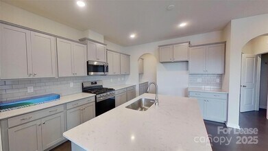 17508 Snug Harbor Rd in Charlotte, NC - Building Photo - Building Photo