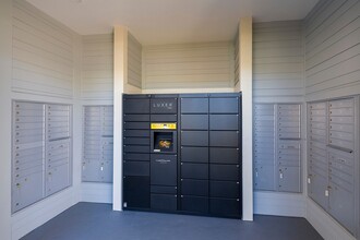 Macie Creek Apartments in Middleburg, FL - Building Photo - Building Photo