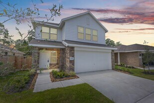 20806 Masella Ridge Dr in New Caney, TX - Building Photo