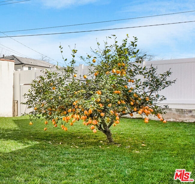 1072 E Fairmount Rd in Burbank, CA - Building Photo - Building Photo