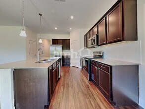 20443 Calla Lily Dr in Land O Lakes, FL - Foto de edificio - Building Photo