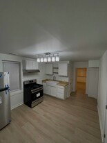 4115 S Maplewood Ave in Chicago, IL - Building Photo