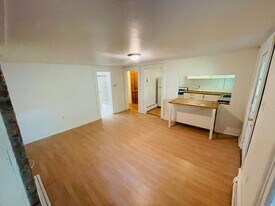 343 Hamilton St in Albany, NY - Building Photo