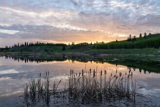 31 Cranfield Manor SE in Calgary, AB - Building Photo - Building Photo