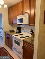 13908 N Ocean Rd in Ocean City, MD - Building Photo