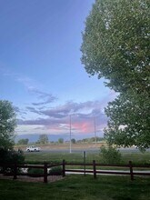 804 Summer Hawk Dr in Longmont, CO - Building Photo - Building Photo