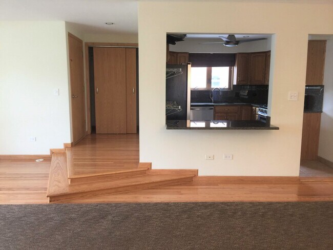 1130 N Northwest Hwy-Unit -1 in Park Ridge, IL - Building Photo - Building Photo
