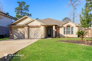 28615 Hidden Cove Dr in Magnolia, TX - Building Photo