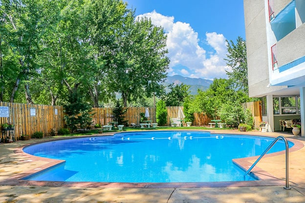 921 Green Star Dr in Colorado Springs, CO - Building Photo - Building Photo