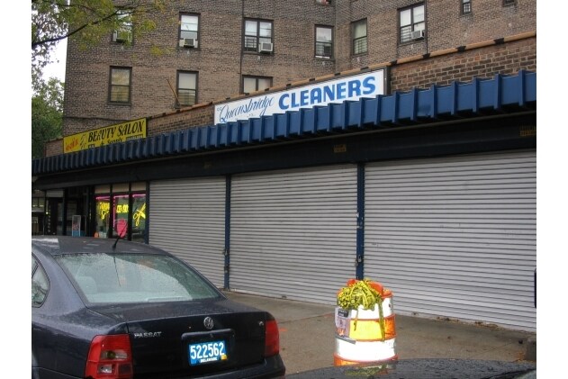 Queensbridge South Houses in Long Island City, NY - Building Photo - Building Photo