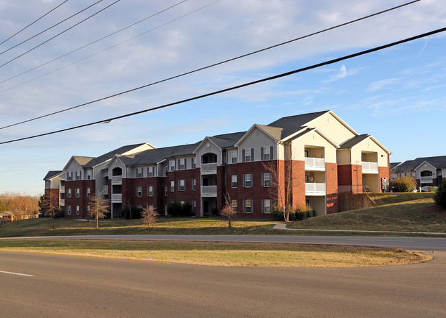 Forest View Apartments