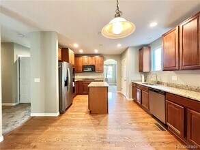 12121 S Grass River Trail in Parker, CO - Building Photo - Building Photo