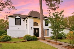 15618 Banty Falls Ct in Houston, TX - Building Photo