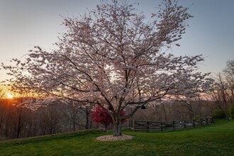 720 Valhalla Ln in Brentwood, TN - Building Photo - Building Photo