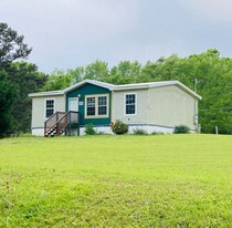 126 Lee Road 735 in Opelika, AL - Building Photo