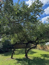 1203 Cuernavaca Dr N in Austin, TX - Building Photo - Building Photo
