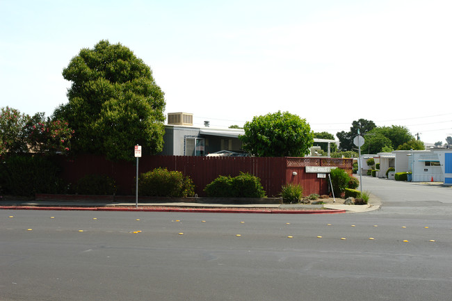 1146 Meadow Ln in Concord, CA - Building Photo - Building Photo