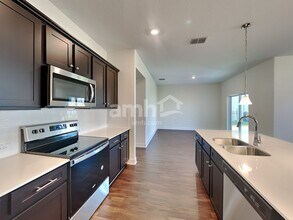 33817 Widman Way in Zephyrhills, FL - Building Photo - Building Photo