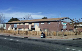 8721 E 14th Ave in Denver, CO - Building Photo