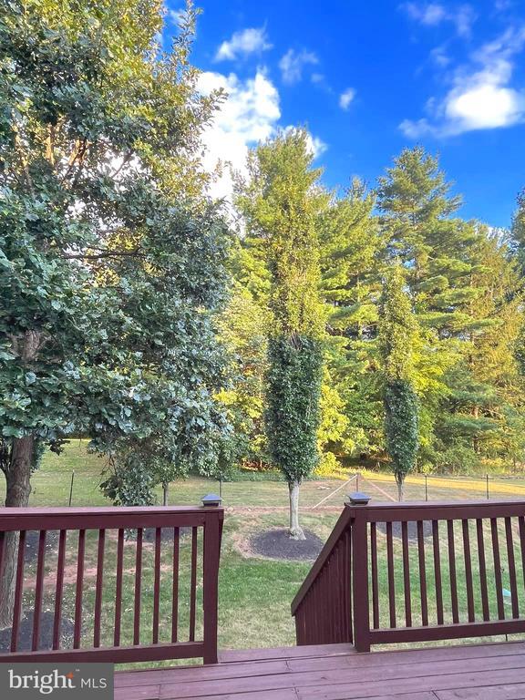 property at 3928 Shainline Ct