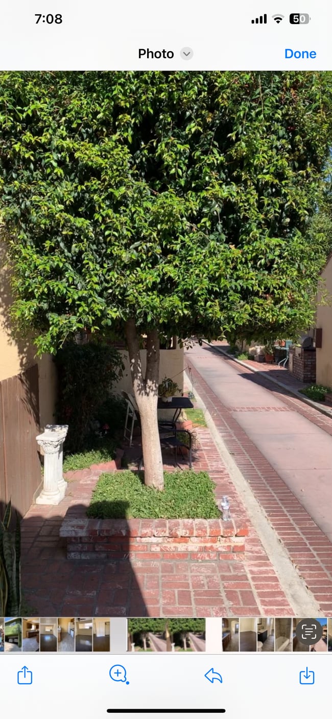 5031 Bakman Ave in North Hollywood, CA - Foto de edificio - Building Photo