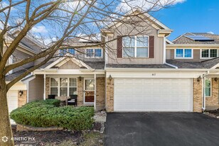417 Van Gogh Cir in Bolingbrook, IL - Building Photo