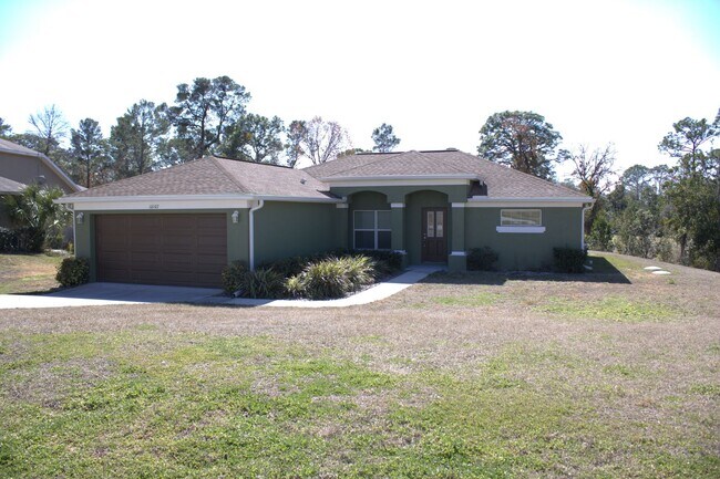10107 Sunburst Ct in Spring Hill, FL - Building Photo - Building Photo