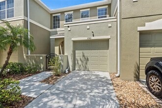 2943 Willowleaf Ln in Wesley Chapel, FL - Building Photo - Building Photo