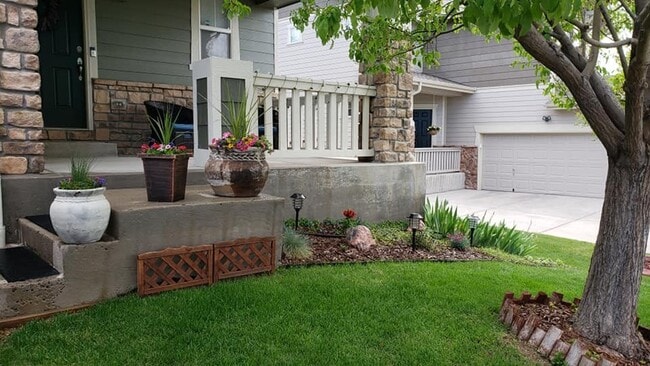 4468 Prairie Rose Cir in Castle Rock, CO - Building Photo - Building Photo