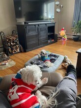 905 Boswell Hill Rd in Endicott, NY - Building Photo - Building Photo