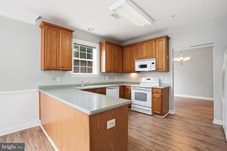 7871 Rolling Woods Ct in West Springfield, VA - Building Photo - Building Photo