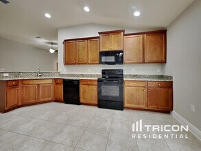 14511 Dunrobin Dr in Wimauma, FL - Building Photo - Building Photo