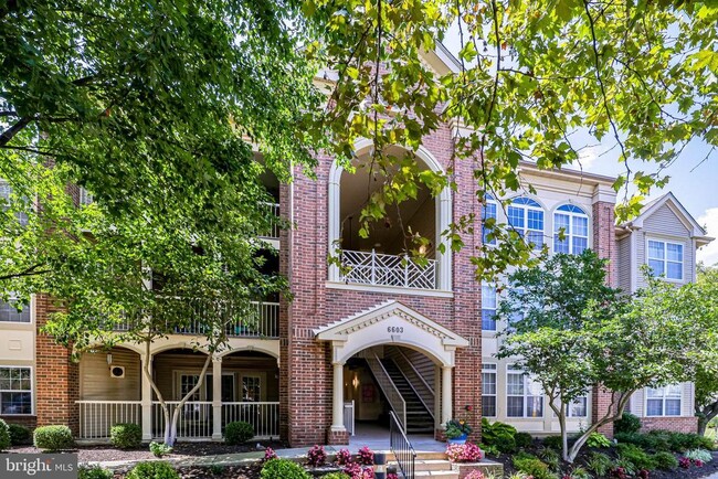 6603 Thackwell Way in Alexandria, VA - Foto de edificio - Building Photo