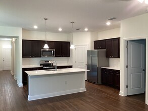 20307 Calla Lily Dr in Land O Lakes, FL - Building Photo - Building Photo